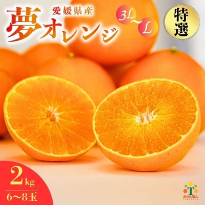 【特選品】みかん職人の夢オレンジ 2kg 夢おれんじ みかん職人武田屋