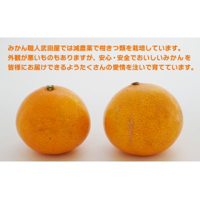 【訳あり】みかん職人の夢オレンジ3kg 夢おれんじ みかん職人武田屋