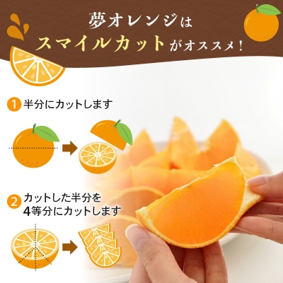 【訳あり】みかん職人の夢オレンジ 2kg【発送11月中旬～なくなり次第終了】みかん職人武田屋
