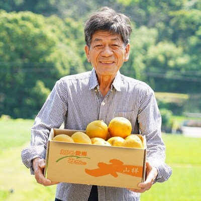 訳あり みかんの山祥が贈る 樹齢25年以上の河内晩柑 中玉5kg お礼品詳細 ふるさと納税なら さとふる