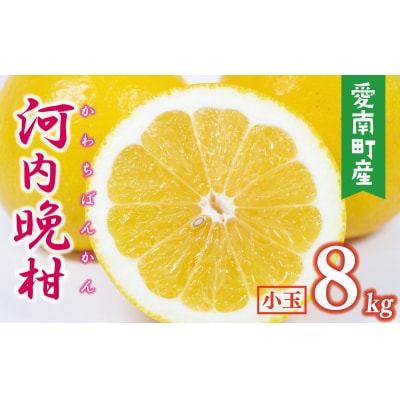 数量限定 先行受付 河内晩柑 樹齢 25年以上 小玉 8kg みかんの山祥 愛南町 愛媛県