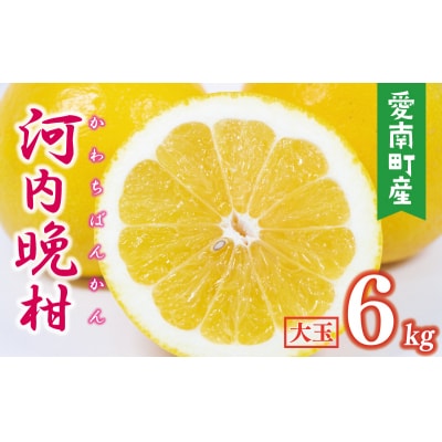 数量限定 先行受付 河内晩柑 樹齢 25年以上 大玉 6kg みかんの山祥 愛南町 愛媛県