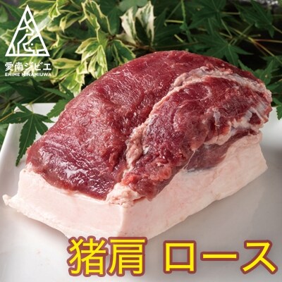 愛南ジビエの猪肩ロース肉　500g