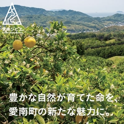 猪 肩 ロース 肉 500g いのしし イノシシ ジビエ 愛媛県 愛南町 愛南ジビエ(5個/月限定)