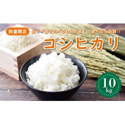 【先行予約】新米 令和8年産 コシヒカリ 10kg 愛南町 マルハラファーム
