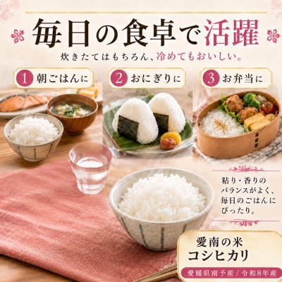 【先行予約】新米 令和8年産 コシヒカリ 10kg 愛南町 マルハラファーム