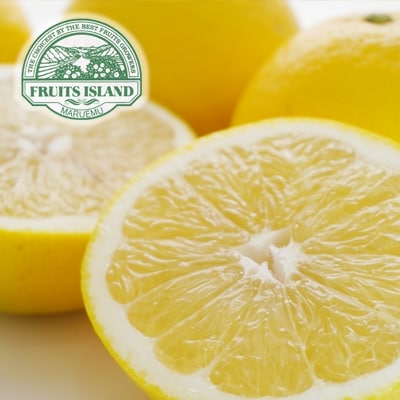 先行受付【贈答用】美生柑(みしょうかん)「愛南産の河内晩柑」約7.5キロ入り(18個～22個)