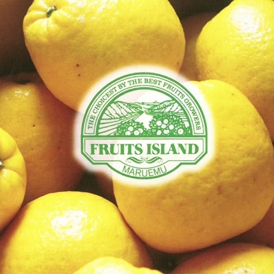 先行受付【贈答用】美生柑(みしょうかん)「愛南産の河内晩柑」約7.5キロ入り(18個～22個)