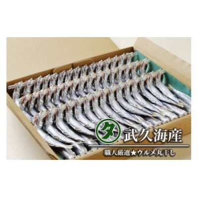 ウルメ丸干し14～15尾 5～6竿 武久海産