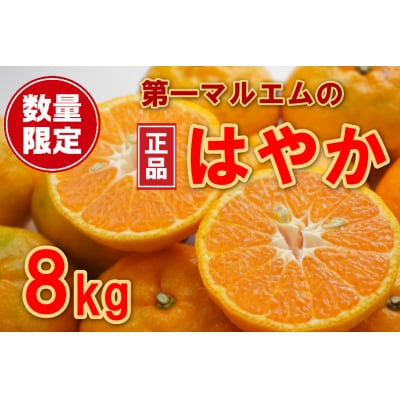 第一マルエムの早香(はやか)秀品8kg