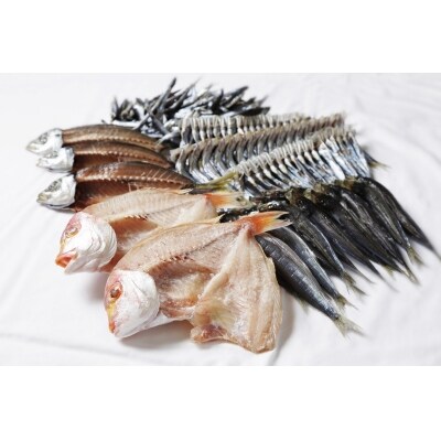 【訳あり】武久海産 名人が作る魚の丸干し&開きセット★3kg!!