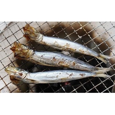 【訳あり】武久海産 名人が作る魚の丸干し&開き おまかせセット3kg