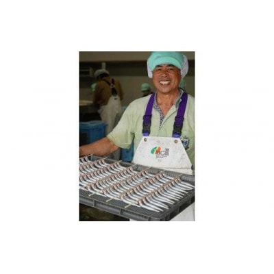 【訳あり】武久海産 名人が作る魚の丸干し&開き おまかせセット3kg