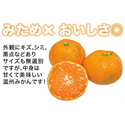 【訳あり】清家ばんかんビレッジの愛媛みかん5kg
