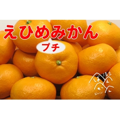 清家ばんかんビレッジの愛媛プチみかん2.5kg