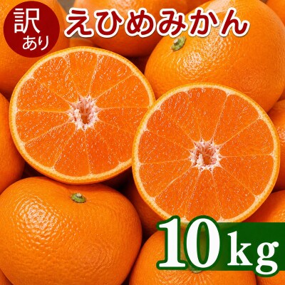 【先行予約】訳あり 愛媛みかん 10kg 発送時期 2026年11月以降 清家ばんかんビレッジ