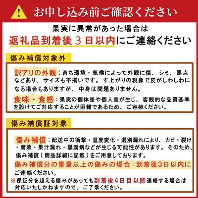 【先行予約】訳あり 愛媛みかん 10kg 発送時期 2026年11月以降 清家ばんかんビレッジ