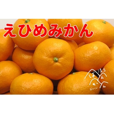 【贈答用】清家ばんかんビレッジの愛媛みかん5kg