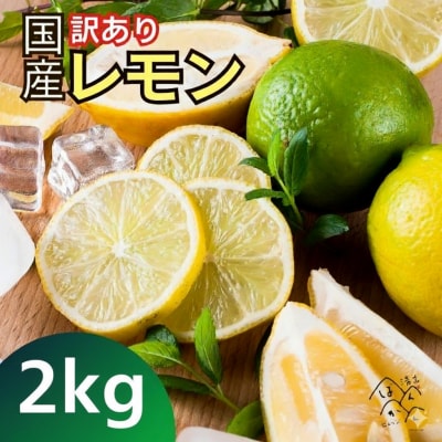 訳あり 国産 レモン 2kg 皮まで安心して使える 愛媛県 愛南町 清家ばんかんビレッジ