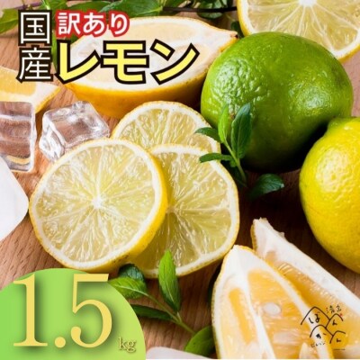 訳あり 国産 レモン 1.5kg 皮まで安心して使える 愛媛県 愛南町 清家ばんかんビレッジ