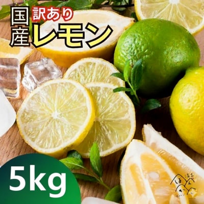 訳あり 国産 レモン 5kg 皮 まで 安心 愛媛県 愛南町 清家ばんかんビレッジ