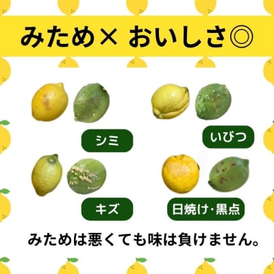 訳あり 国産 レモン 5kg 皮 まで 安心 愛媛県 愛南町 清家ばんかんビレッジ