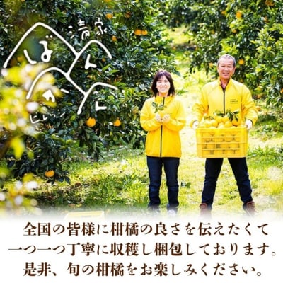 清家ばんかんビレッジの愛南町産レモン5kg