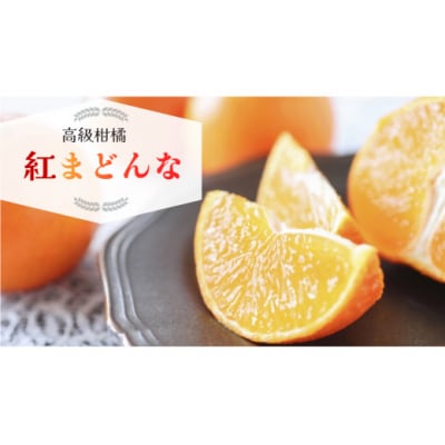 数量限定 先行受付 紅まどんな 5kg みかん 国産 JA 愛南町 愛媛県