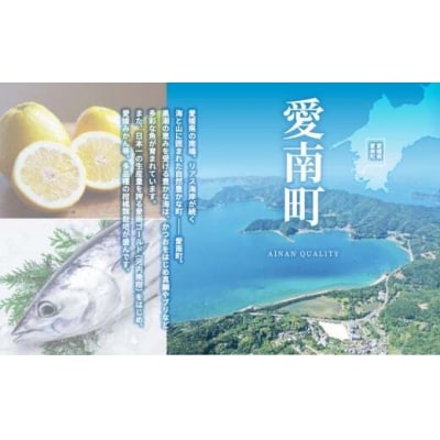 【先行予約】 【高評価★4.7】 数量限定 ポンカン 5kg みかん 吉田農園 愛南町 愛媛県