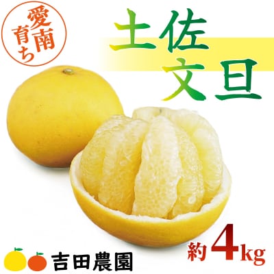 【高評価★5】 数量限定 先行受付 土佐文旦 4kg 吉田農園 愛南町 愛媛県