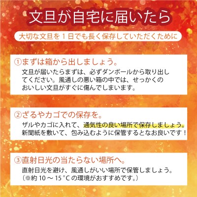 数量限定 先行受付 土佐文旦 4kg 吉田農園 愛南町 愛媛県
