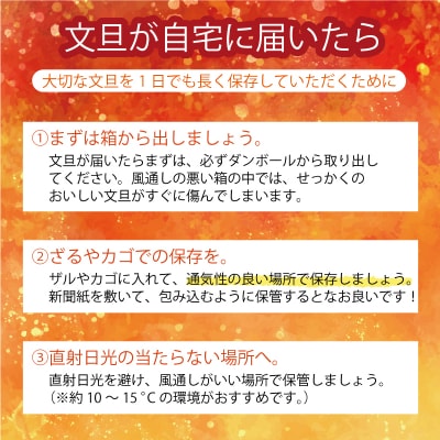 【高評価★5】 数量限定 先行受付 土佐文旦 4kg 吉田農園 愛南町 愛媛県