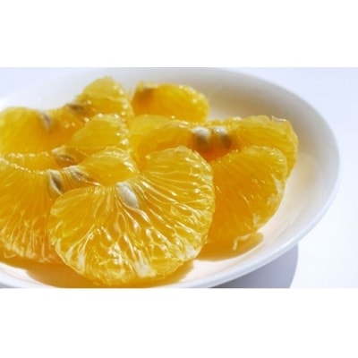 【高評価★4.5】 先行受付 甘夏 約10kg みかん 柑橘 あまなつ 吉田農園 愛南町 愛媛県