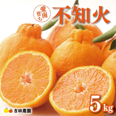 数量限定 先行受付 不知火 5kg しらぬい みかん 吉田農園 愛南町 愛媛県