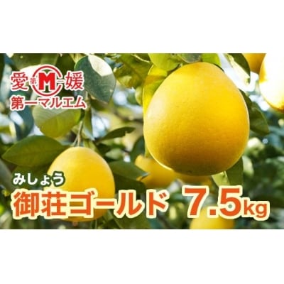 【先行予約】第一マルエムの御荘ゴールド(愛南町産の河内晩柑)7.5kg