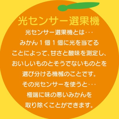【訳あり】愛媛みかん 約10kg 光センサー選果 みかん職人武田屋