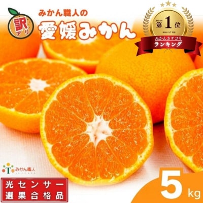 【高評価★4.4】 訳あり 愛媛みかん 5kg みかん職人武田屋 