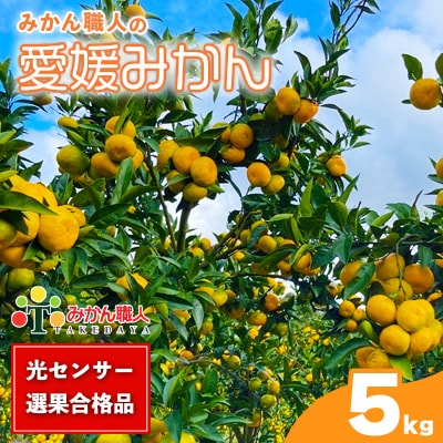 【高評価★4.4】 訳あり 愛媛みかん 5kg みかん職人武田屋 