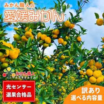 【高評価★4.4】 訳あり 愛媛みかん 選べる内容量 5kg みかん職人武田屋 