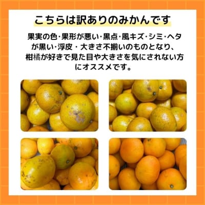 【随時発送中】 訳あり 愛媛みかん 選べる内容量 5kg みかん職人武田屋 【高評価★4.4】