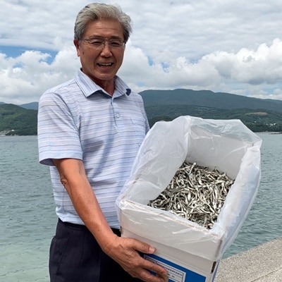 海の幸自然の味　小羽　いりこ(煮干し)2kg