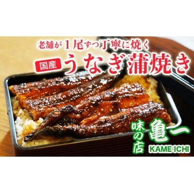 老舗亀一の手焼きうなぎ蒲焼&白焼(約120g×2本)