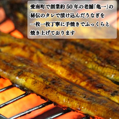 国産うなぎ 手焼き 蒲焼き 白焼き 食べ比べ セット (各1本 計2尾/約240g) お食事処亀一 