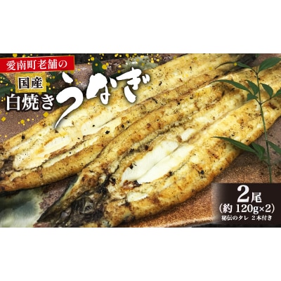 老舗亀一の手焼きうなぎ 白焼 (約120g×2本) 鰻 ウナギ お食事処亀一 愛媛県 愛南町