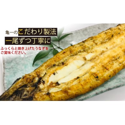 老舗亀一の手焼きうなぎ 白焼 (約120g×2本) 鰻 ウナギ お食事処亀一 愛媛県 愛南町