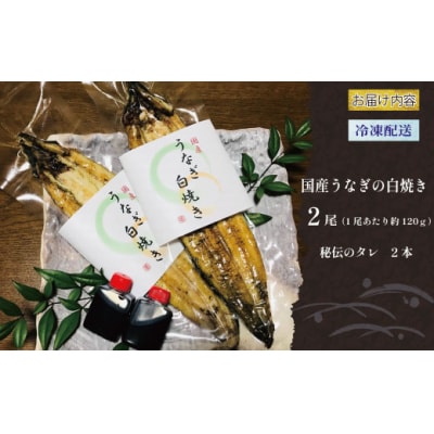 老舗亀一の手焼きうなぎ 白焼 (約120g×2本) 鰻 ウナギ お食事処亀一 愛媛県 愛南町