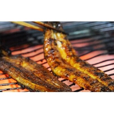 老舗亀一の手焼きうなぎ白焼(約120g×1本)