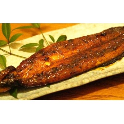 老舗亀一の手焼きうなぎ白焼(約120g×1本)