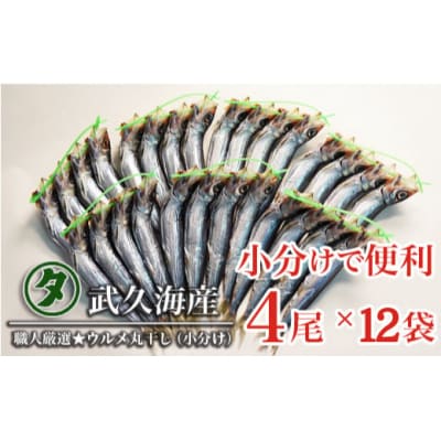 職人厳選★ウルメ丸干し小分け(4尾×12袋)