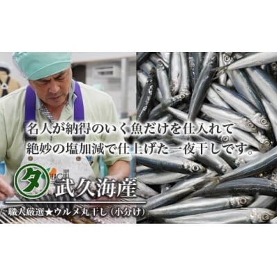 職人厳選★ウルメ丸干し小分け(4尾×12袋)